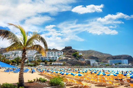 Dove andare in estate alle Canarie: isole, zone e località migliori per le vacanze