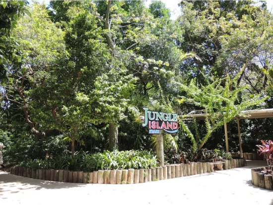 Come visitare Jungle Island: attrazioni, orari, prezzi e come arrivare