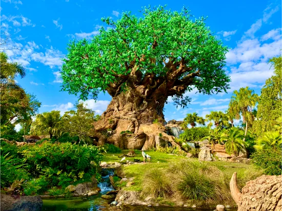 Disney’s Animal Kingdom: attrazioni, orari, prezzi biglietti e come arrivare
