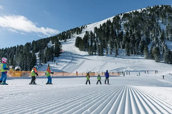 Dove alloggiare per sciare in Val di Fiemme: migliori zone e località