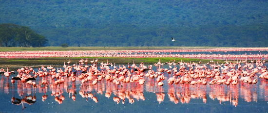 Offerte viaggio in Namibia: i migliori pacchetti volo + hotel e come prenotare