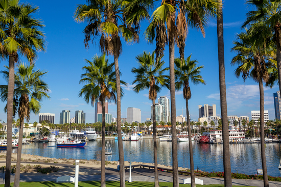 Aquarium of the Pacific: come arrivare e cosa vedere