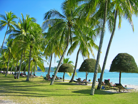 Malesia da sogno: offerte vacanze con pacchetti volo + hotel, destinazioni top e come prenotare al prezzo giusto