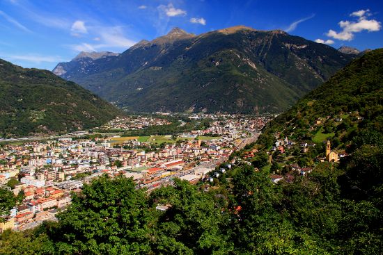 Falconeria Locarno: Un’Esperienza Indimenticabile con i Rapaci