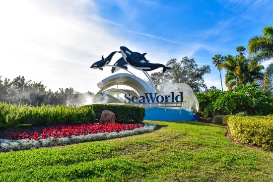Come visitare SeaWorld Orlando: attrazioni, orari, prezzi e come arrivare