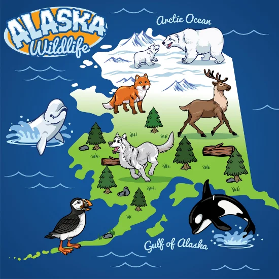 Alaska - USA