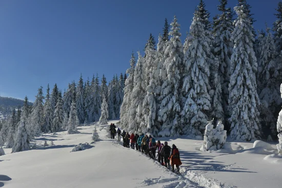 Dove dormire a Pozza di Fassa: migliori zone
